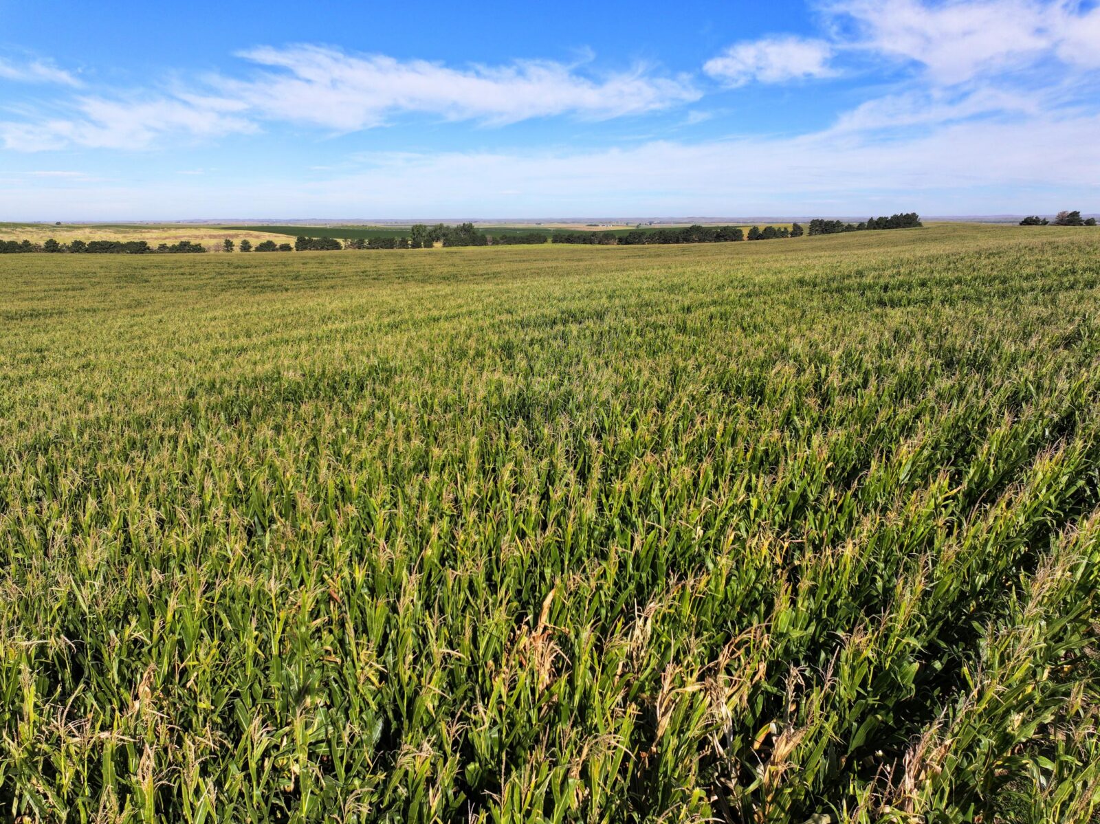 Land auction lincoln County nebraska