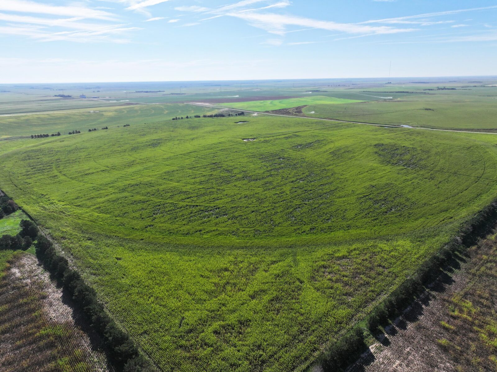 Land auction lincoln County nebraska
