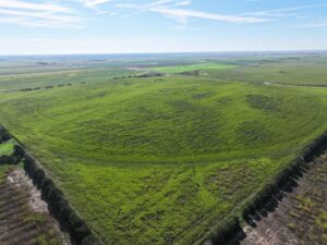 Land auction lincoln County nebraska