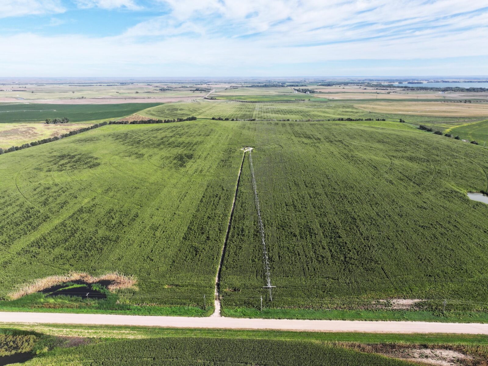 Land auction lincoln County nebraska