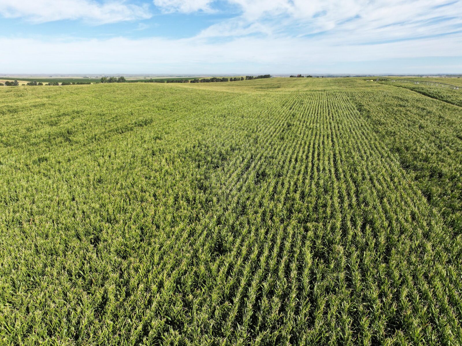Land auction lincoln County nebraska