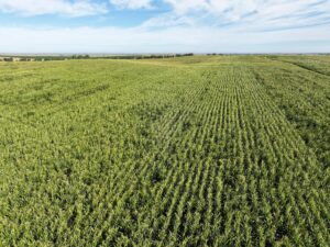 Land auction lincoln County nebraska