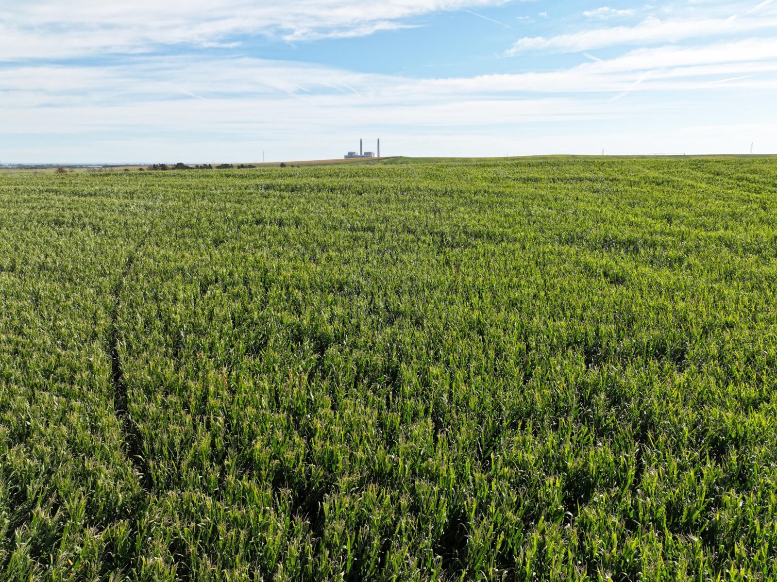 Land auction lincoln County nebraska