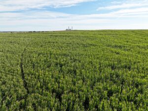 Land auction lincoln County nebraska