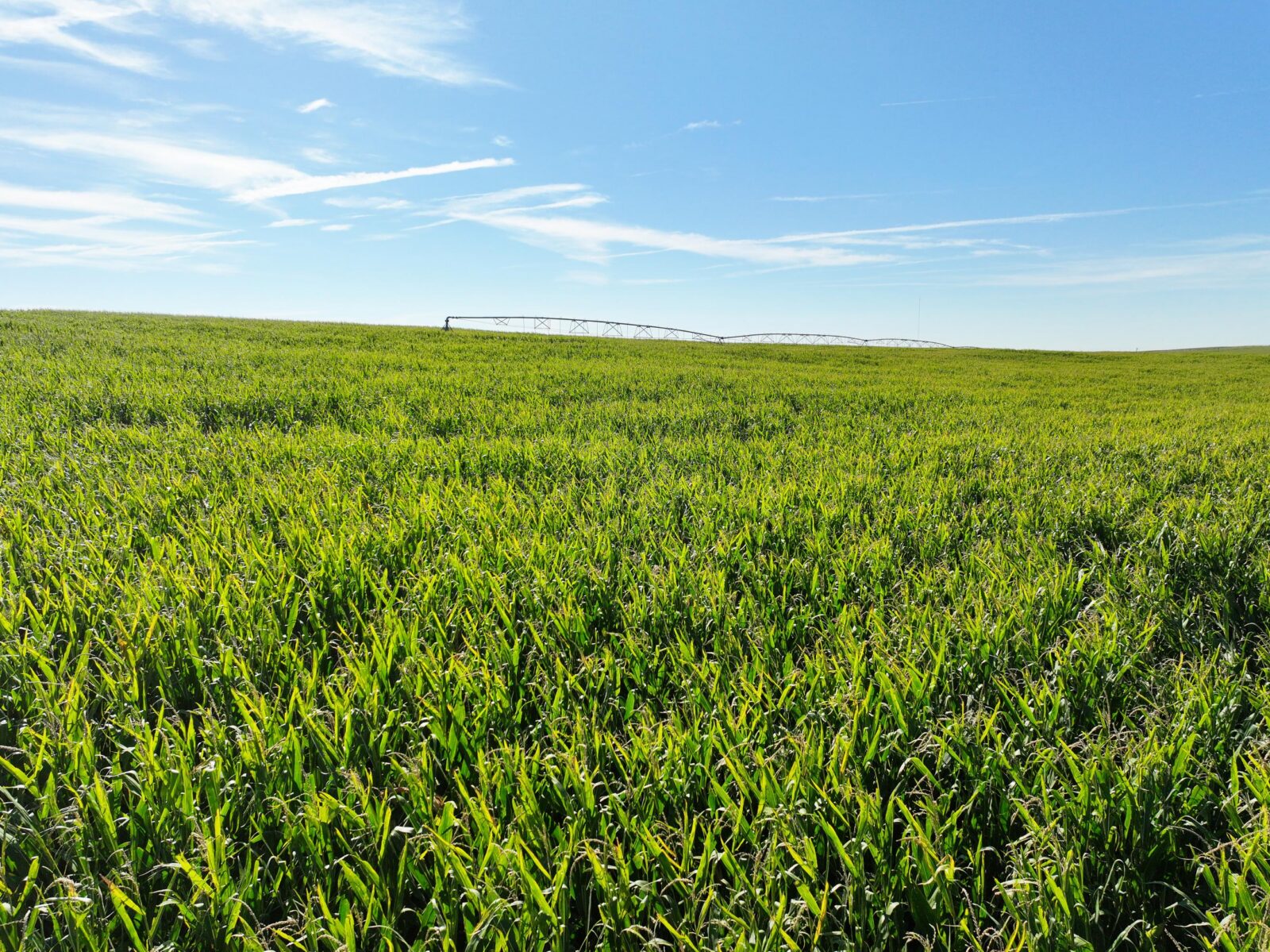 Land auction lincoln County nebraska