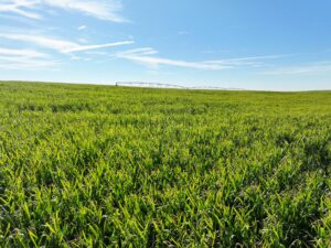 Land auction lincoln County nebraska