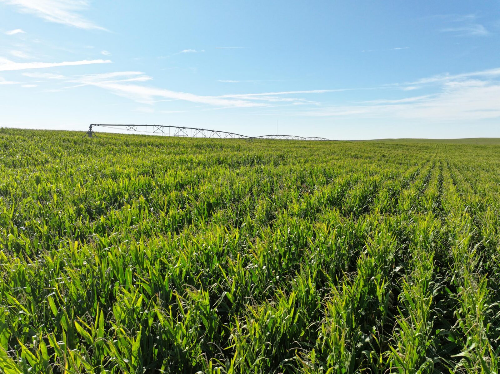 Land auction lincoln County nebraska