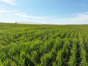 Land auction lincoln County nebraska