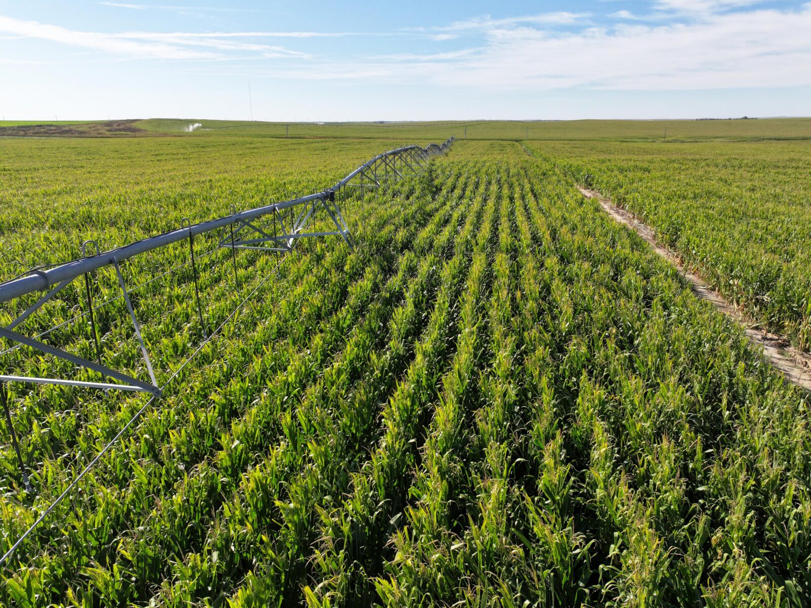 Land auction lincoln County nebraska