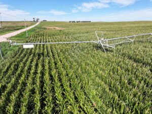 Land auction lincoln County nebraska