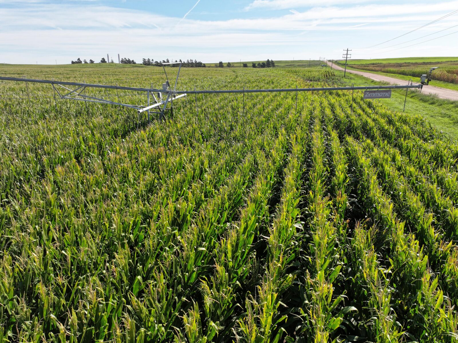 Land auction lincoln County nebraska