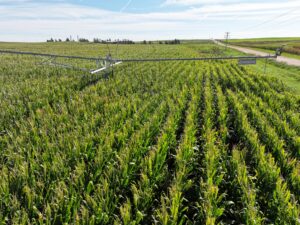 Land auction lincoln County nebraska