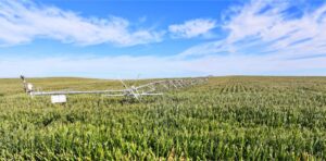 Land auction lincoln County nebraska