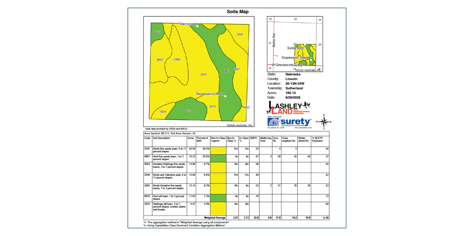 160 Acres, Western Lincoln County Pivot Absolute Auction