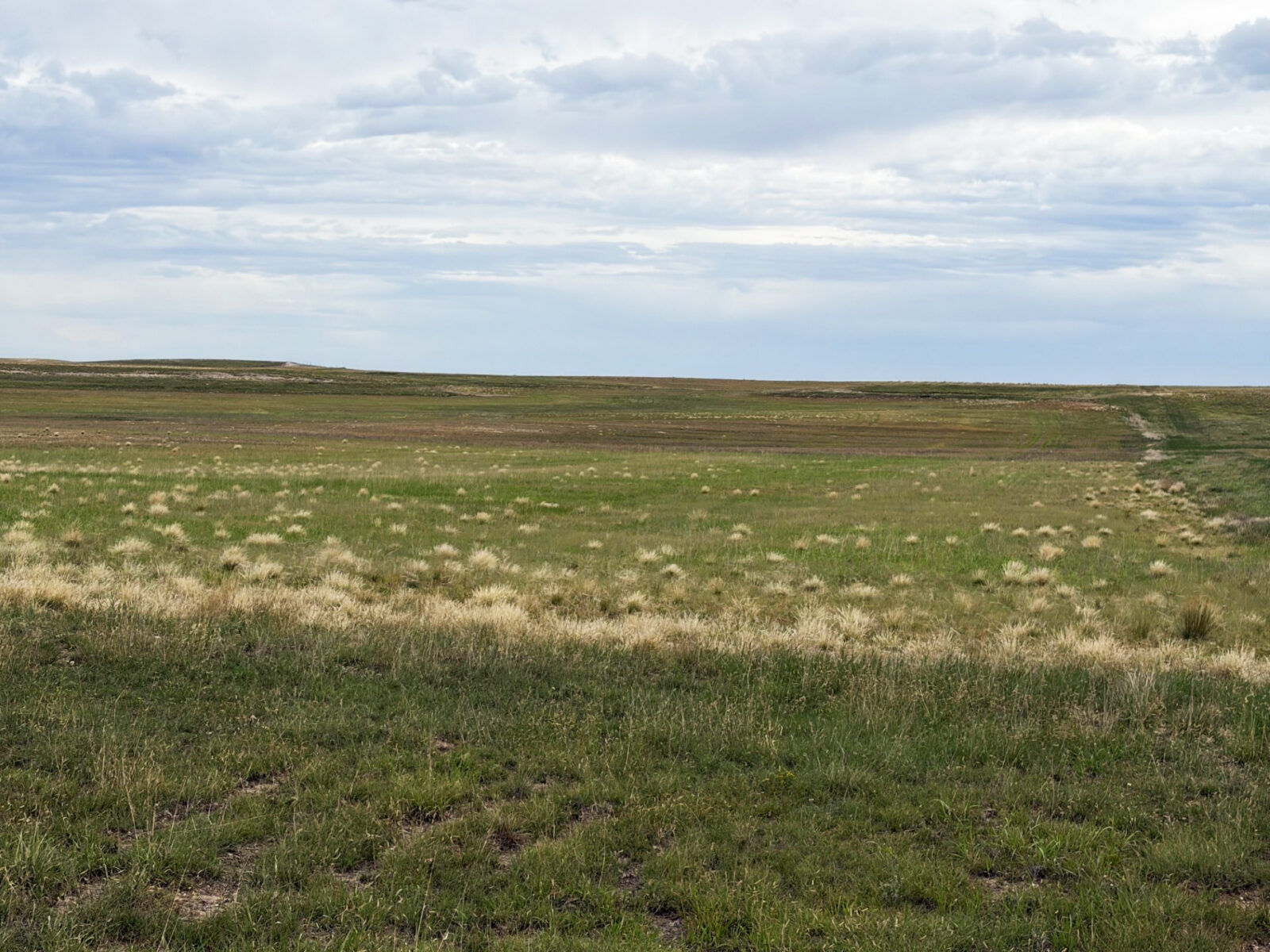 Kimball County Nebraska land for sale
