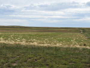 Kimball County Nebraska land for sale