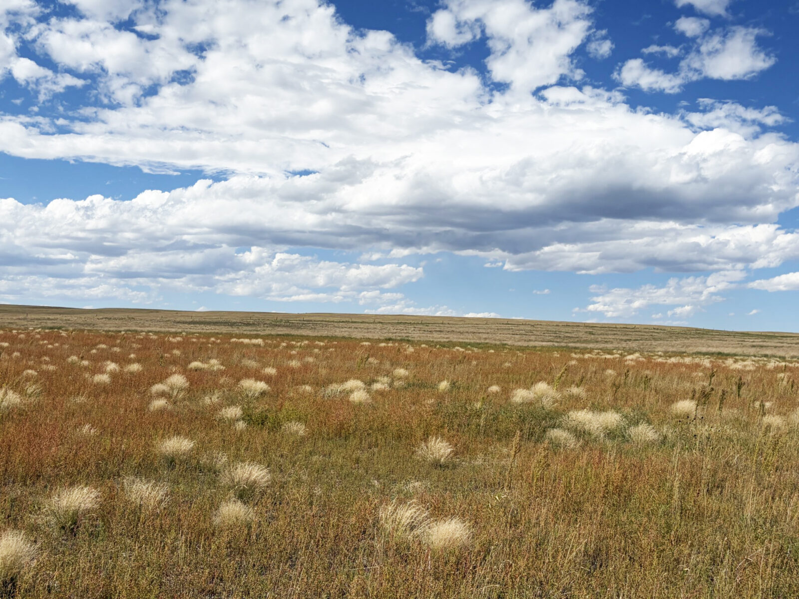 Kimball County Nebraska land for sale