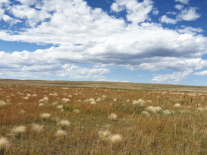 Kimball County Nebraska land for sale