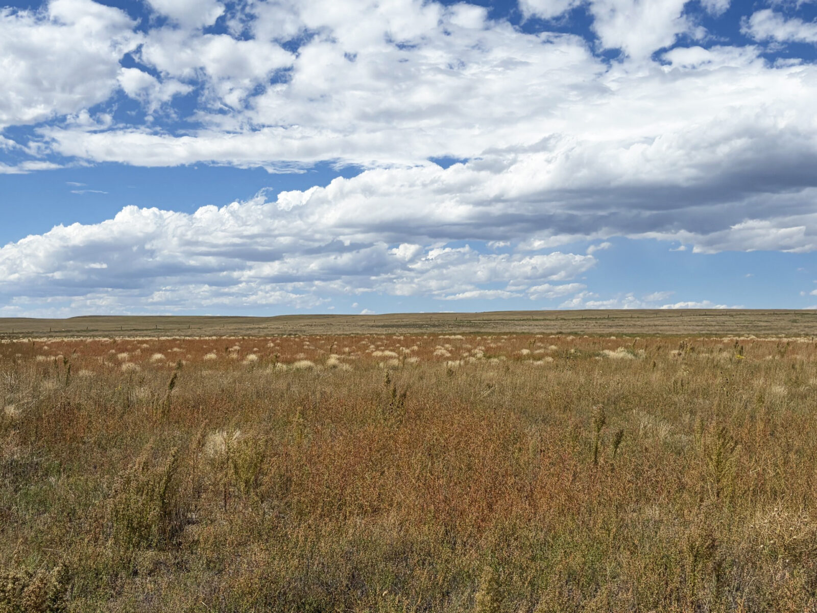 Kimball County Nebraska land for sale