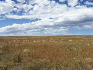 Kimball County Nebraska land for sale