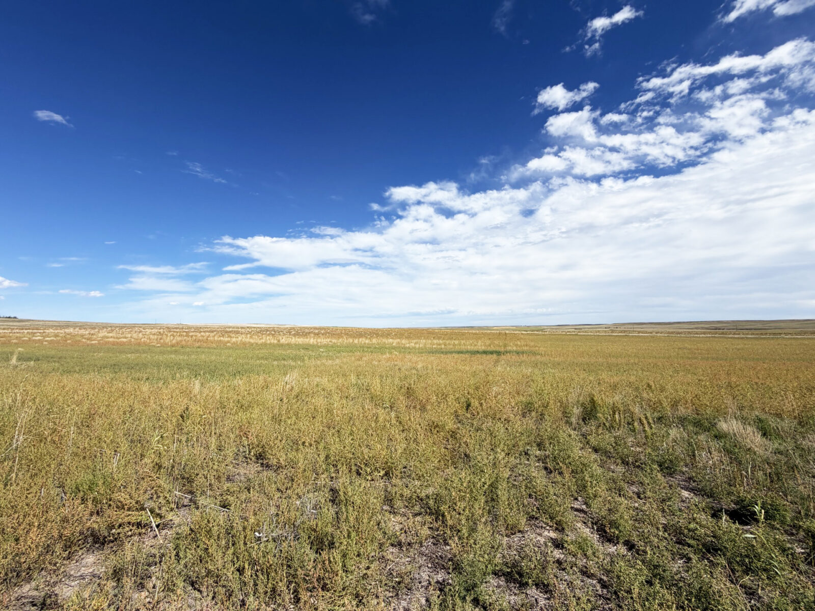 Kimball County Nebraska land for sale