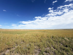 Kimball County Nebraska land for sale