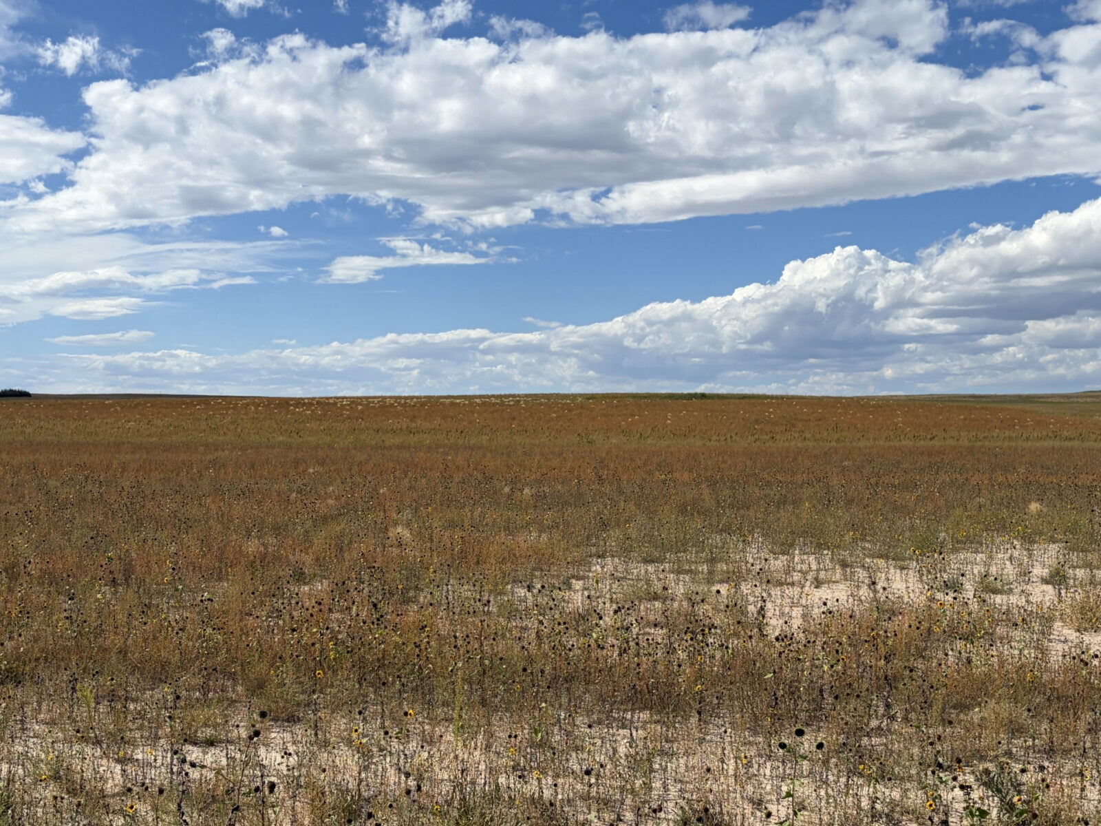 Kimball County Nebraska land for sale