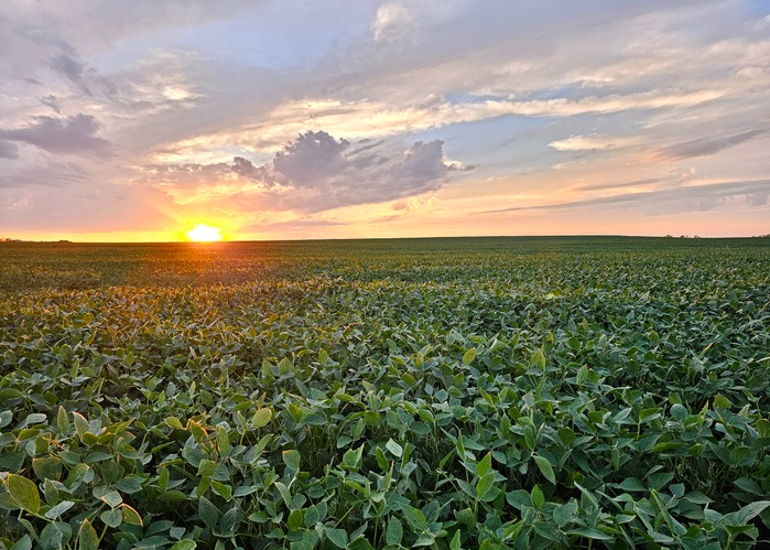 Selling Your Land?  
