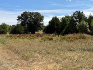 Recreational acreage property for sale Nebraska