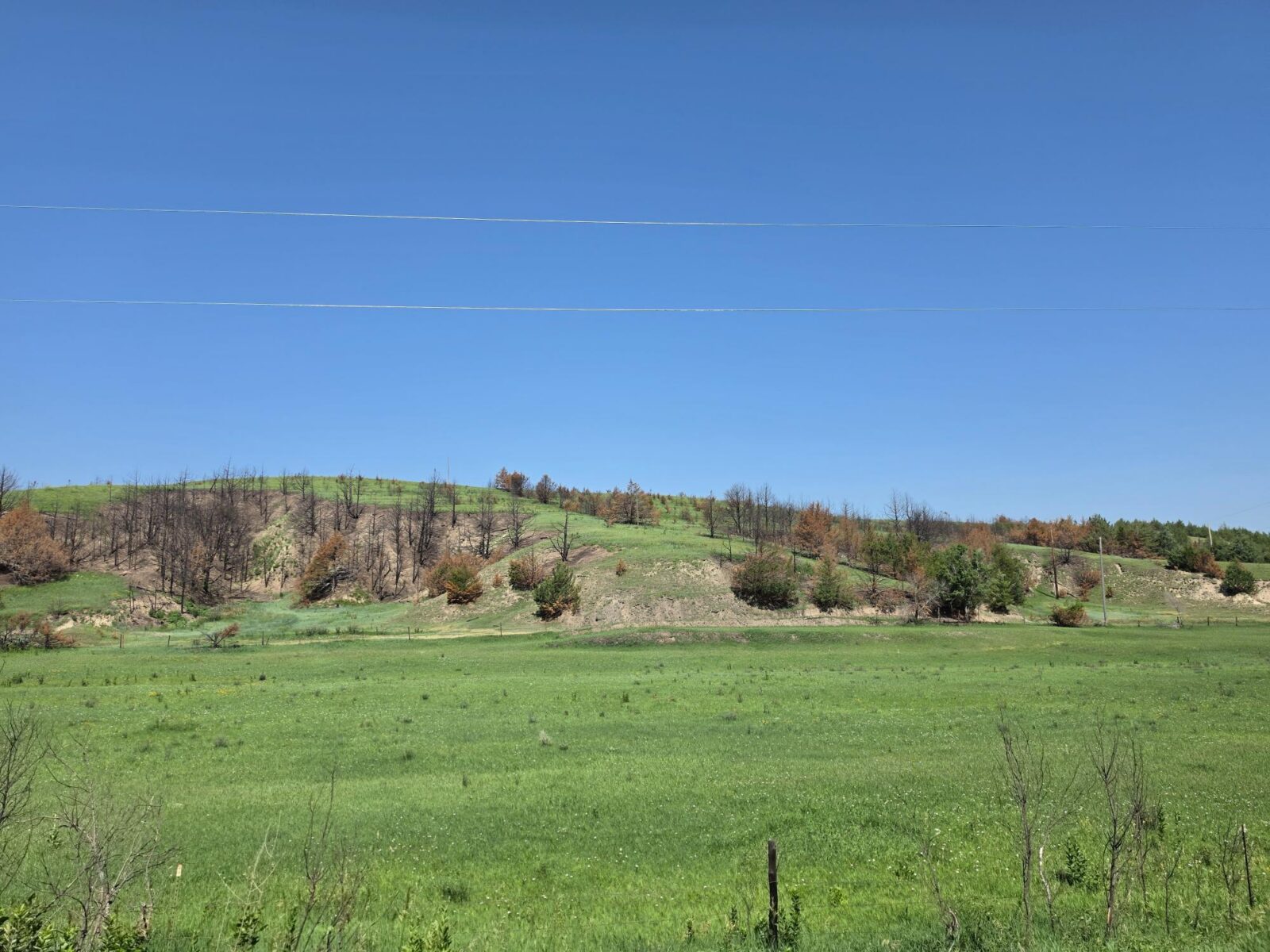 Lincoln County Nebraska land for sale