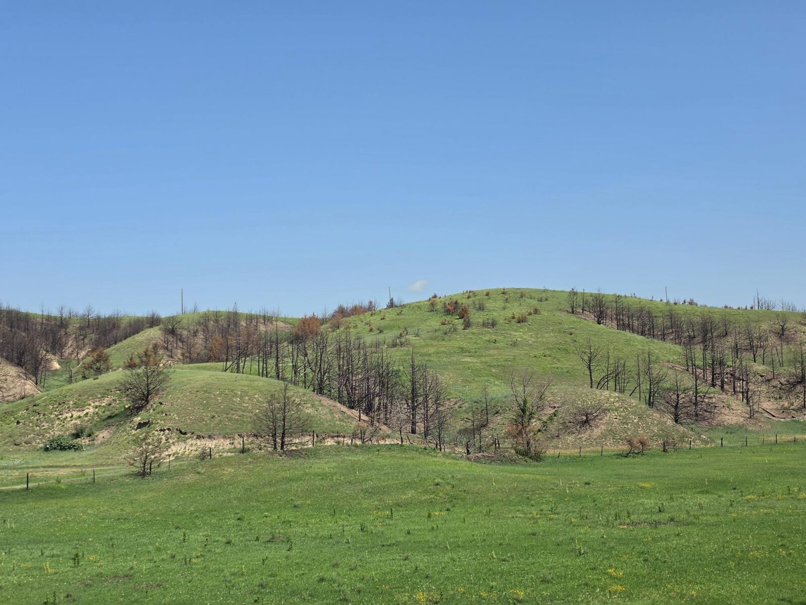 Lincoln County Nebraska land for sale