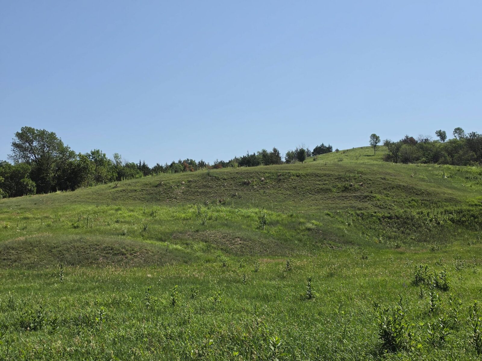 Lincoln County Nebraska land for sale