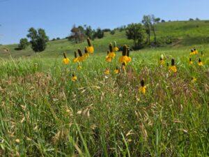 Lincoln County Nebraska land for sale