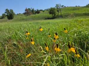 Lincoln County Nebraska land for sale