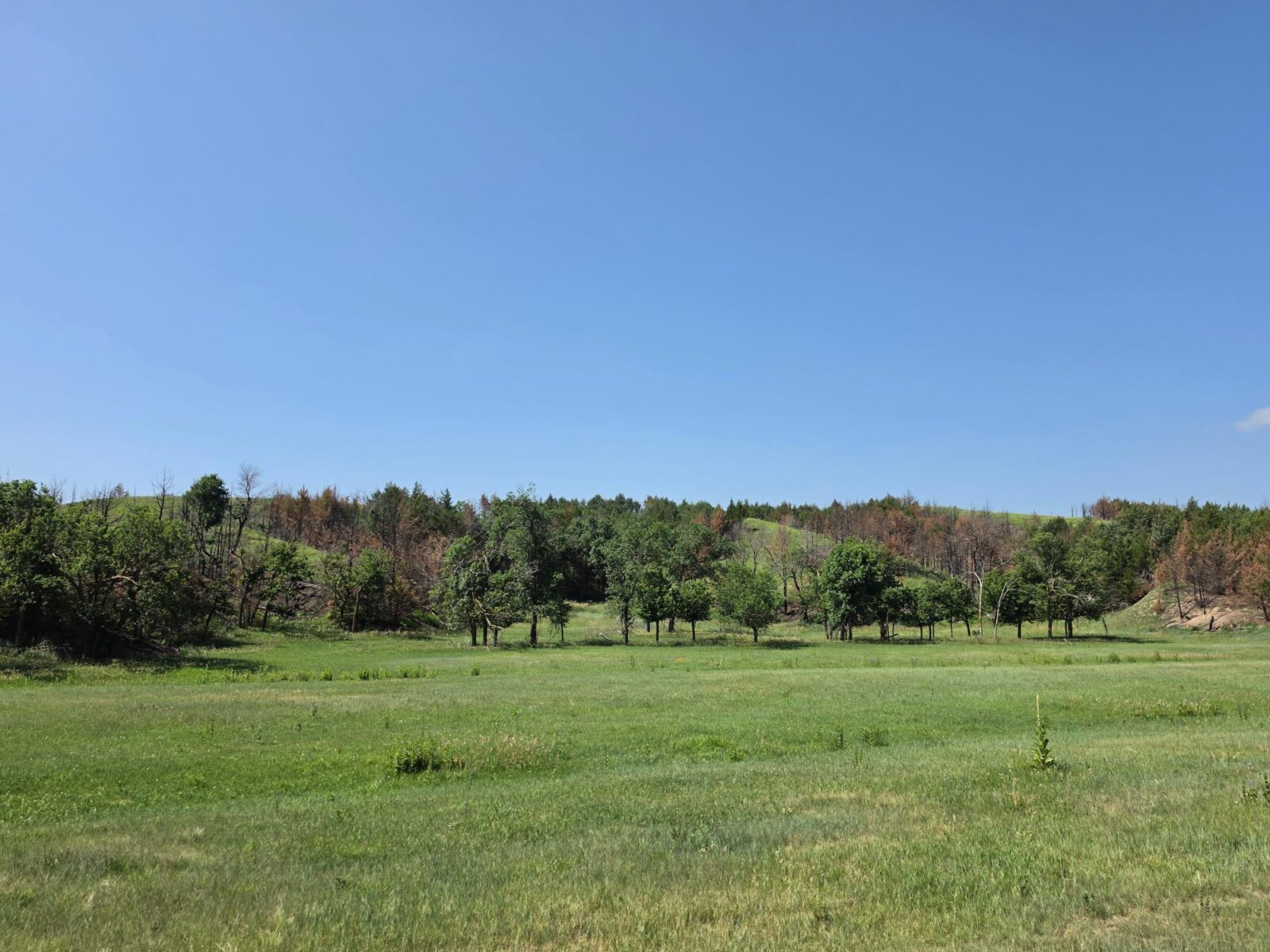 Lincoln County Nebraska land for sale