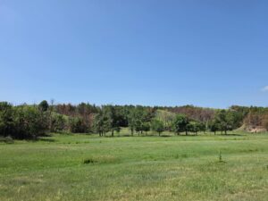 Lincoln County Nebraska land for sale