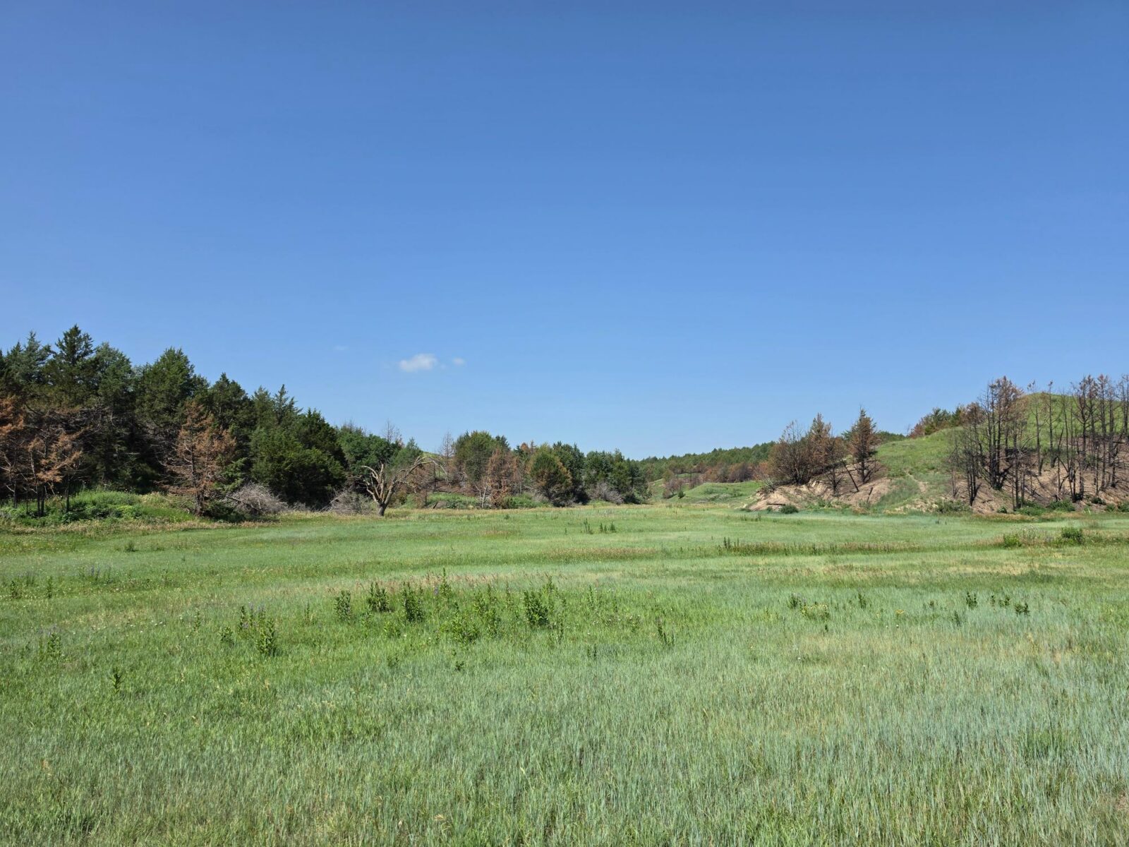 Lincoln County Nebraska land for sale