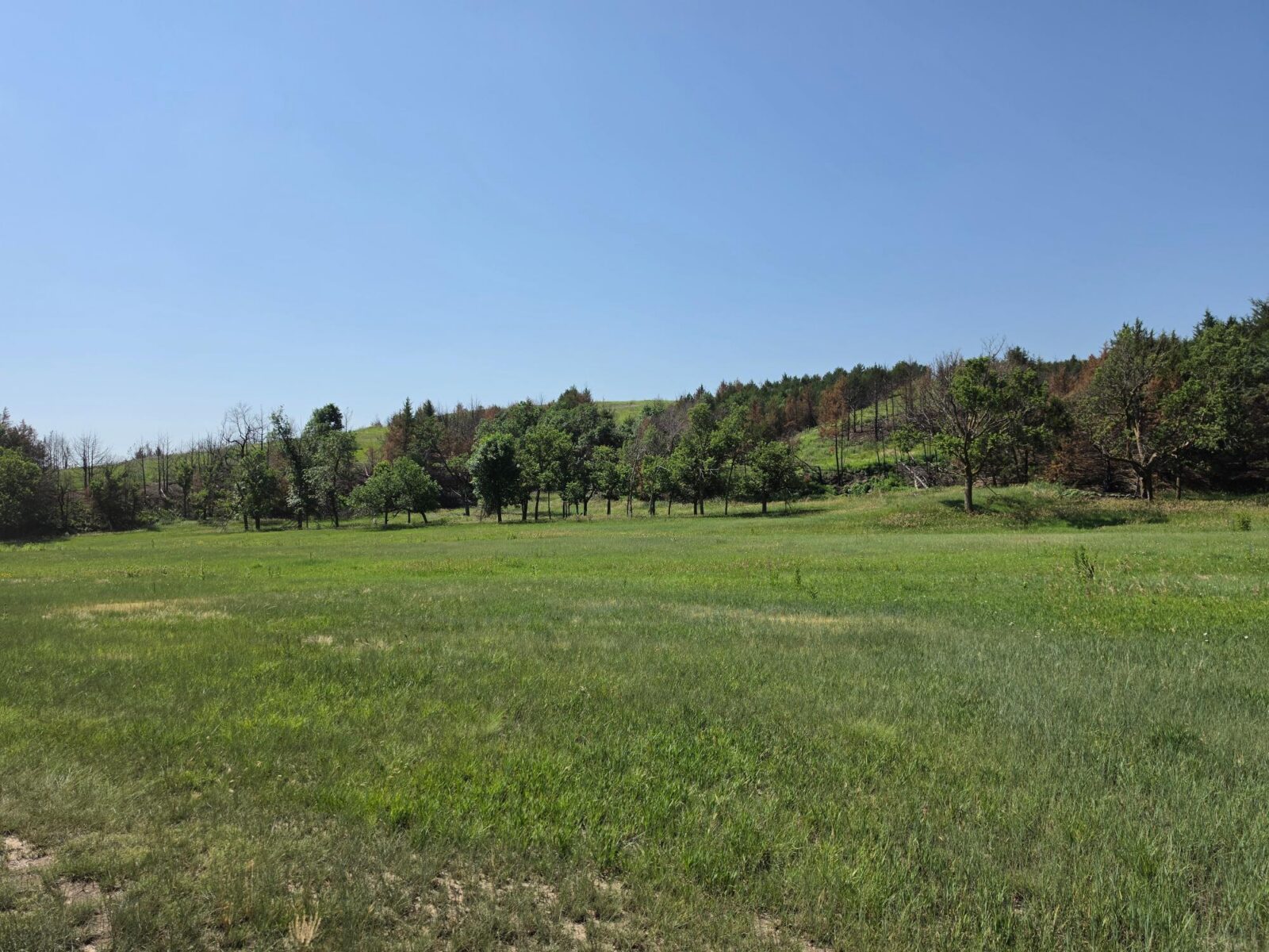 Lincoln County Nebraska land for sale