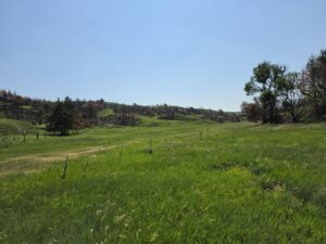 Lincoln County Nebraska land for sale
