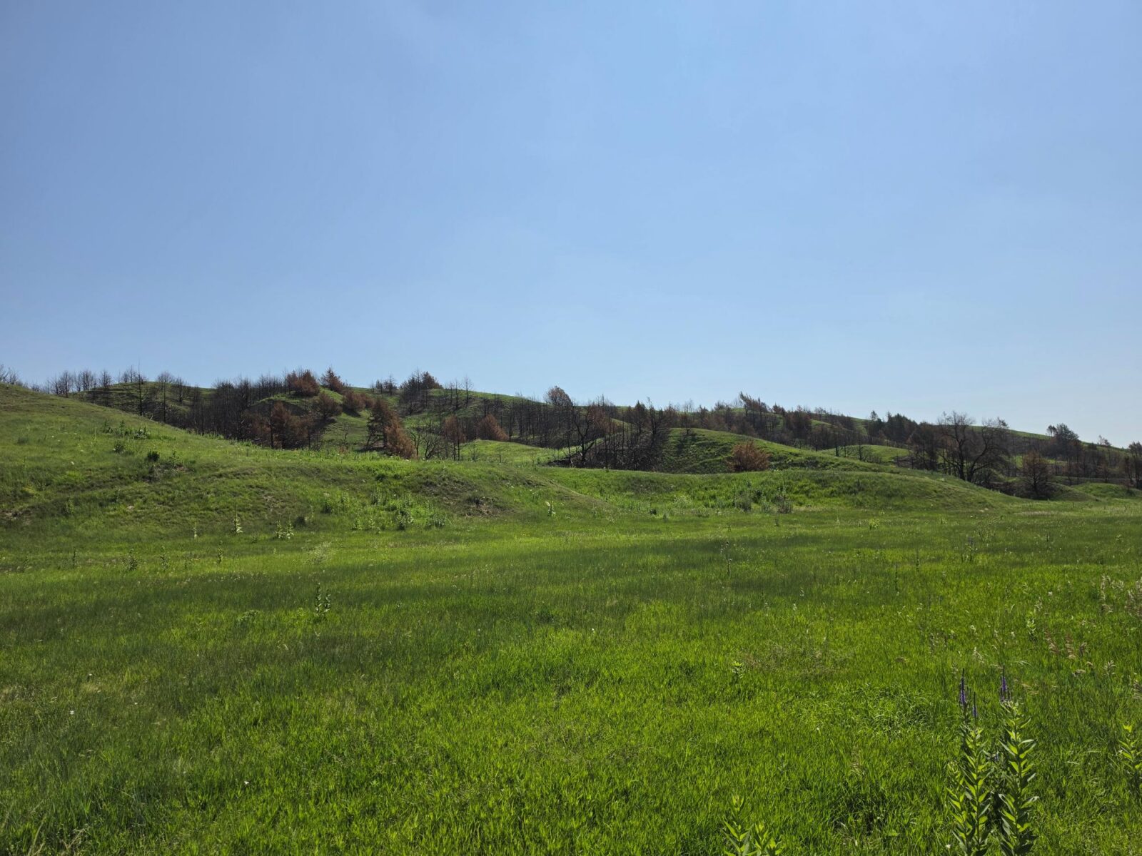 Lincoln County Nebraska land for sale