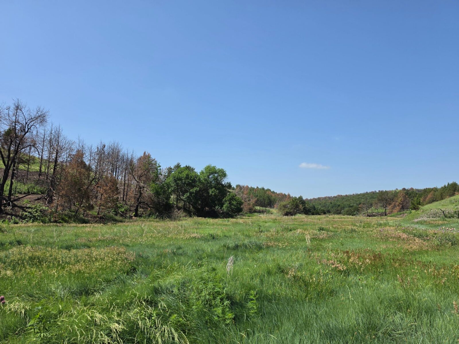 Lincoln County Nebraska land for sale