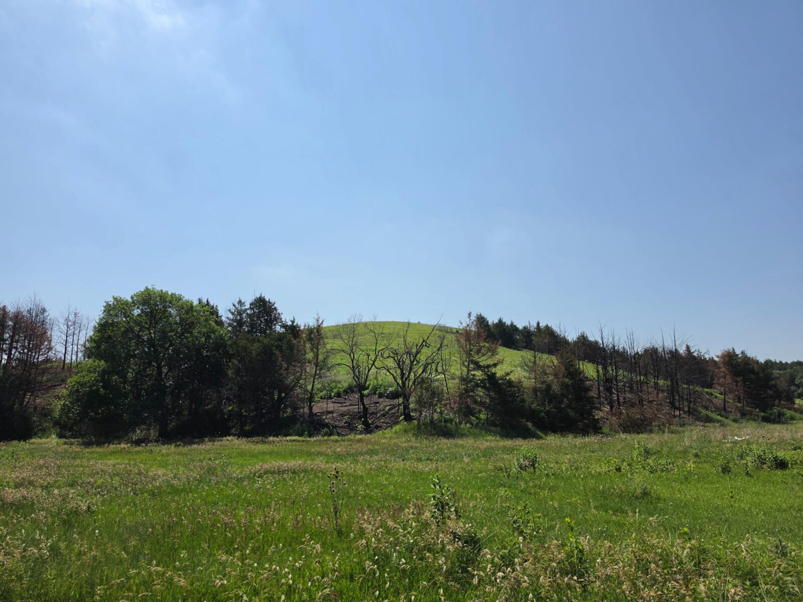 Lincoln County Nebraska land for sale