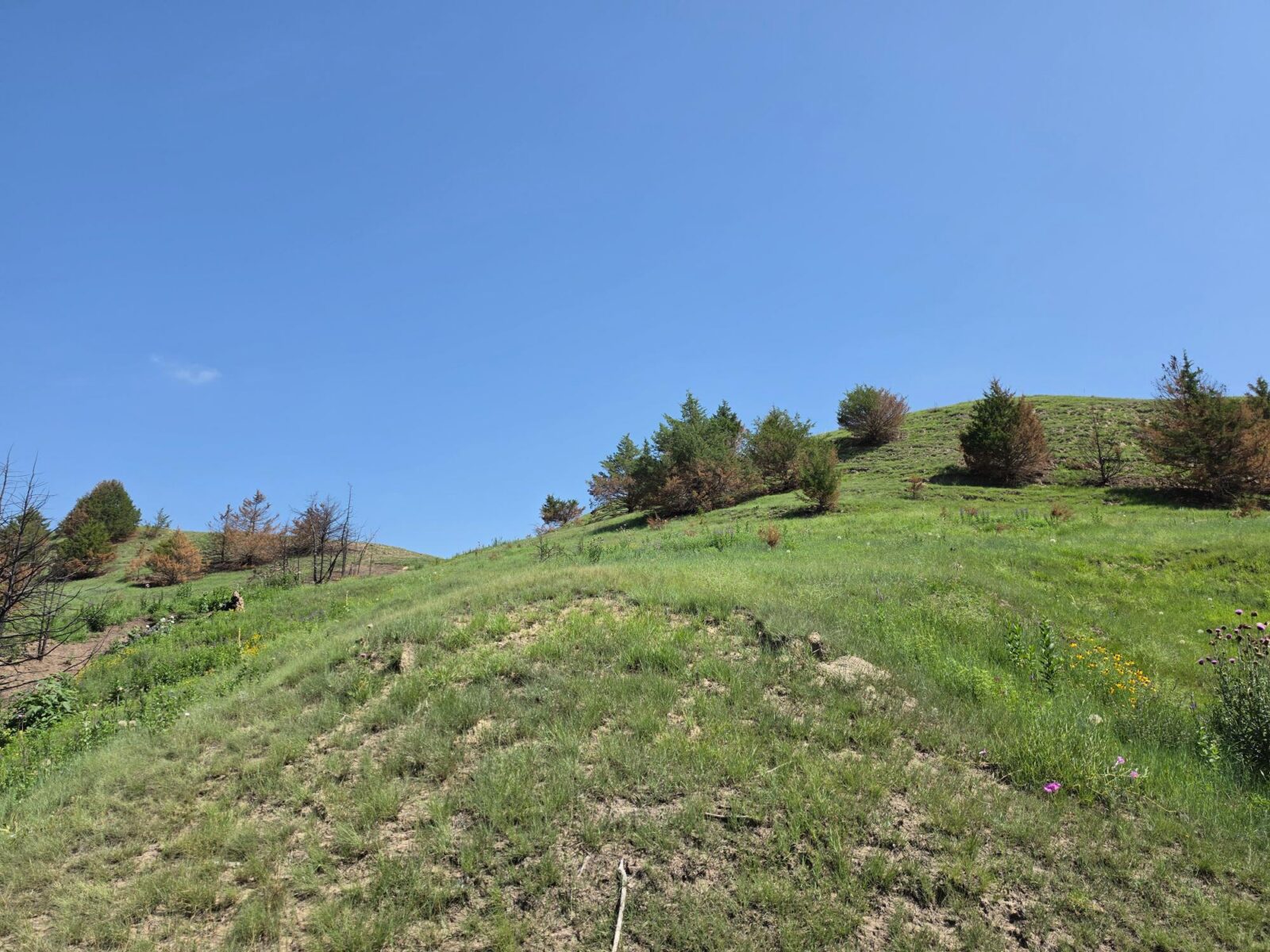 Lincoln County Nebraska land for sale