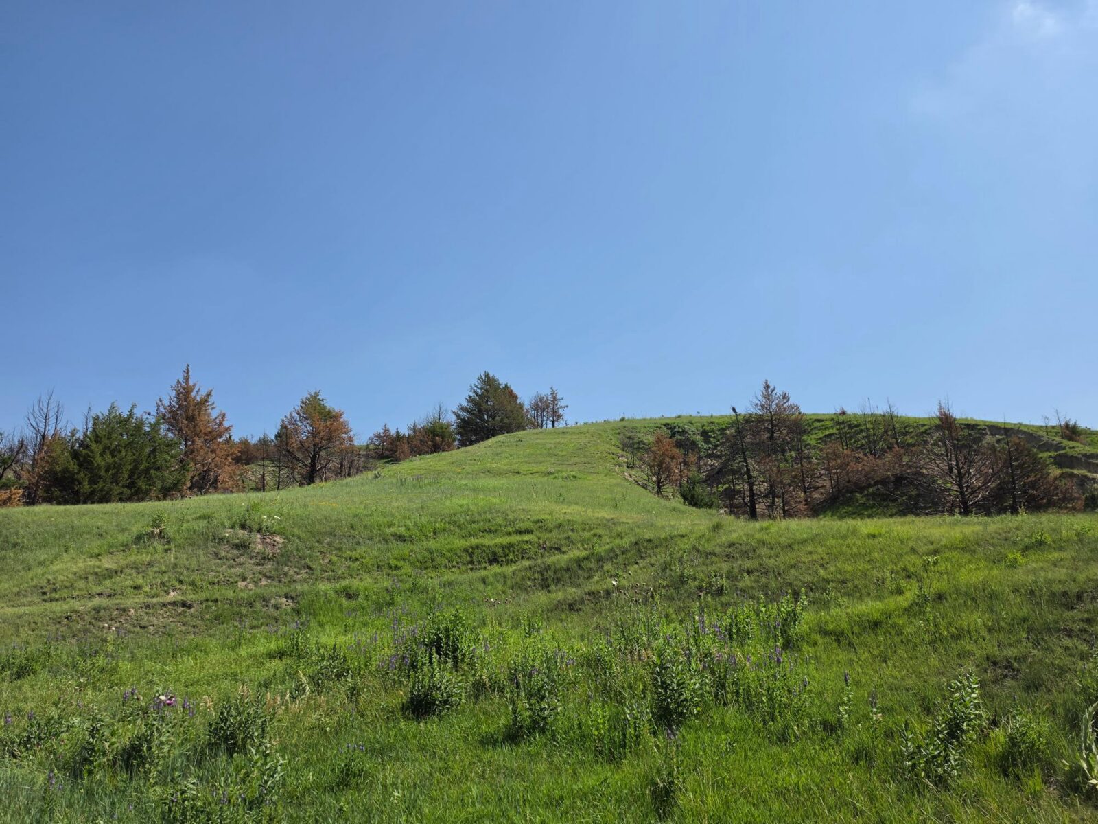 Lincoln County Nebraska land for sale