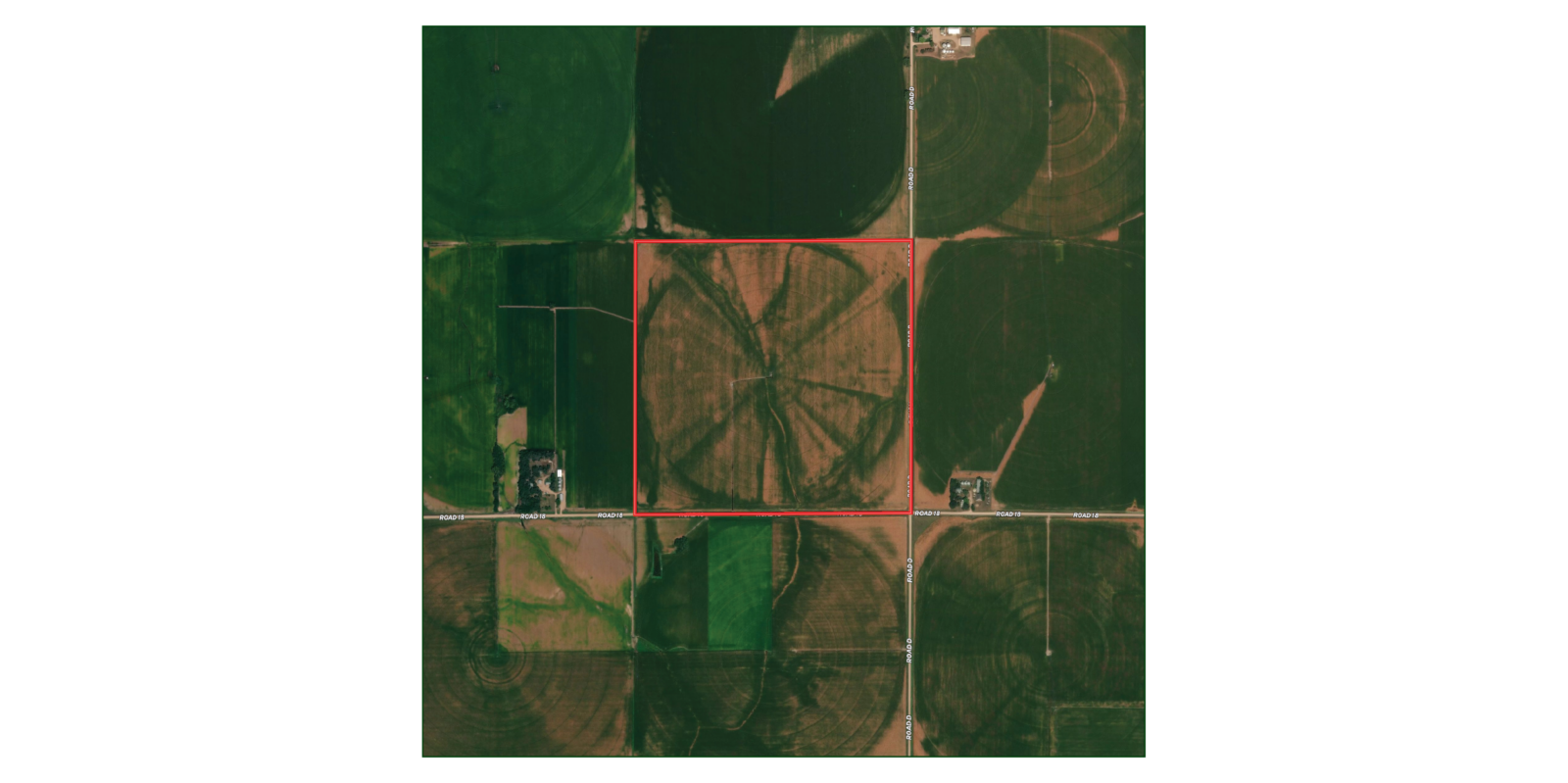 159 Acres, York County Pivot Farm