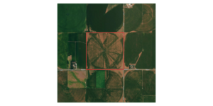 159 Acres, York County Pivot Farm