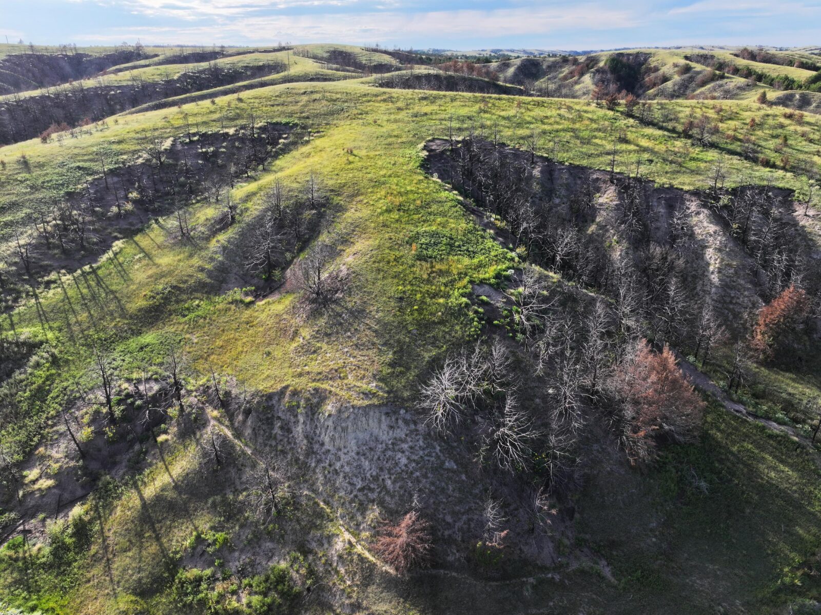 Lincoln County Nebraska land for sale
