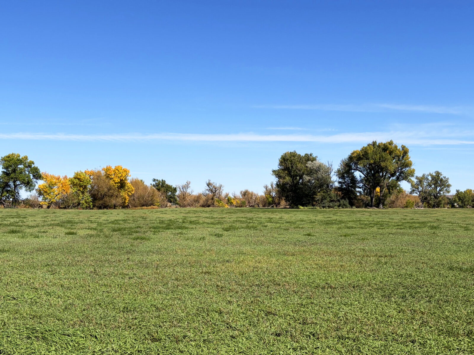 Lodgepole, NE Cheyenne County Nebraska land for sale