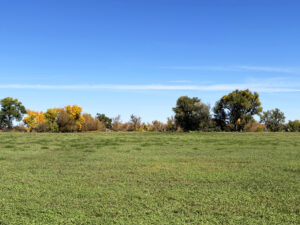 Lodgepole, NE Cheyenne County Nebraska land for sale