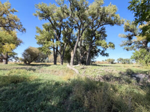 Lodgepole, NE Cheyenne County Nebraska land for sale
